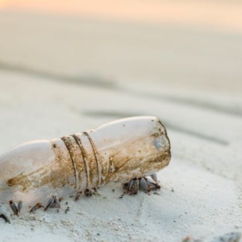 An empty plastic bottle lying on a sandy beach
