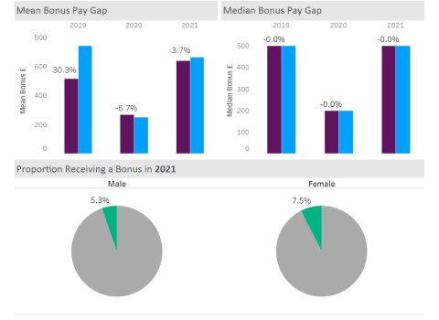This graph shows the Gender Bonus Pay Gap at the University of Portsmouth in 2021.