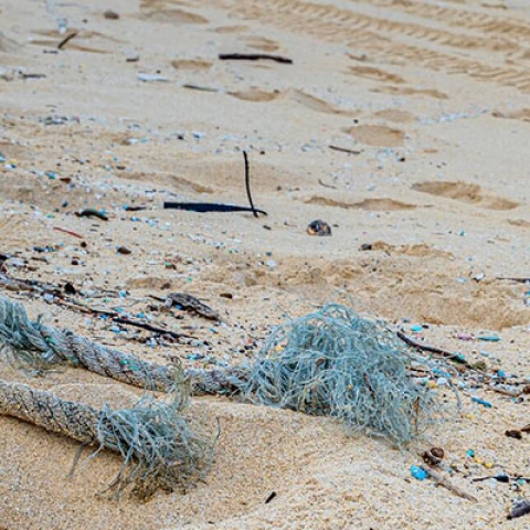 Microplastics on a beach in Asia