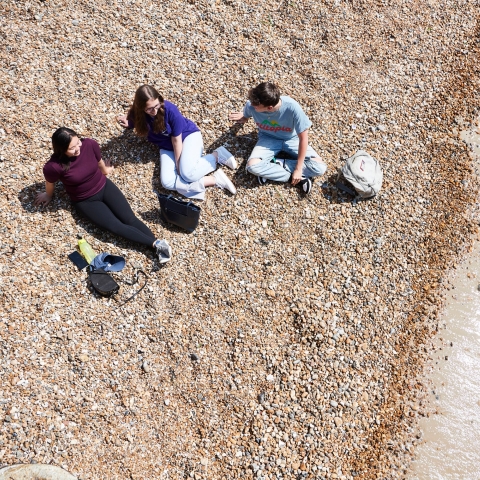 Students on a beach