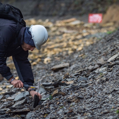 A researcher on a field trip inspecting a sample