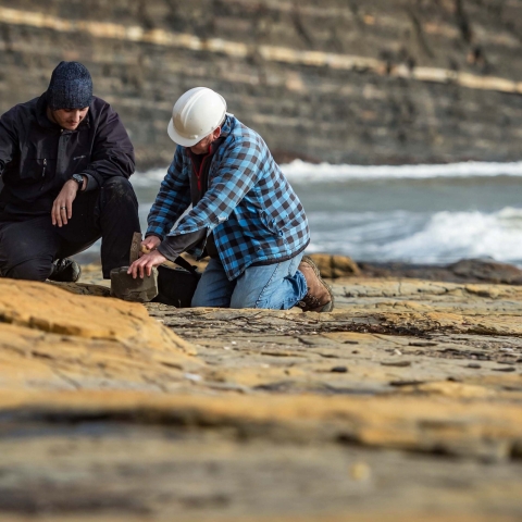 Student and tutor examining rocks on coast