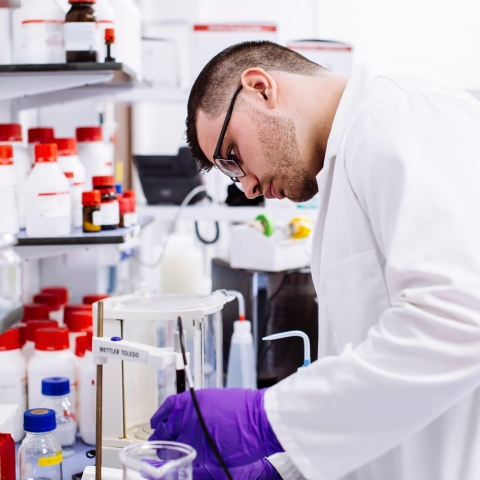 Male student working in a biology lab