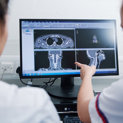 Nurse pointing at scan on computer screen