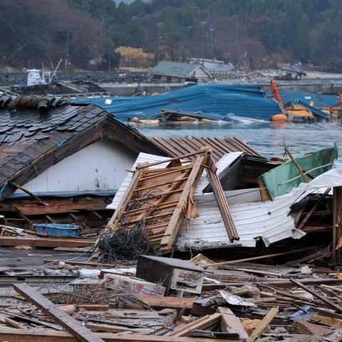 Wooden debris