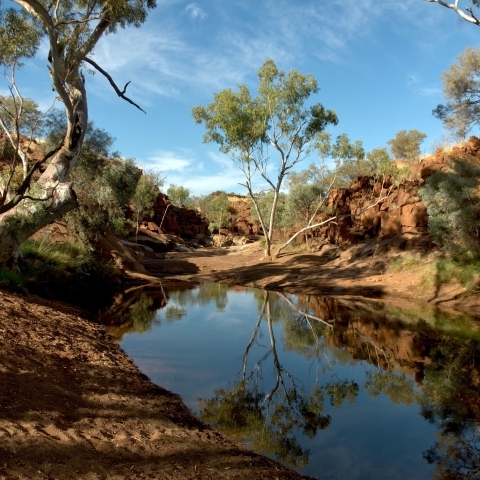 Weeli Wolli Creek, a billabong in Western Australia