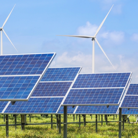 Rows of solar panels, with wind turbines in the background