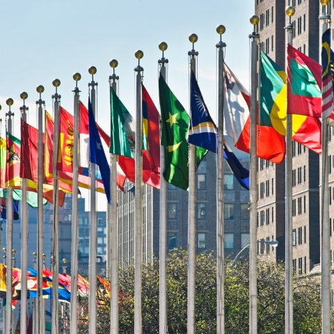 STANDARD LICENSE; PLEASE SEE ADDITIONAL ASSET FOR FULL LICENSE TERMS.Flags of all nations outside the UN in New York City.