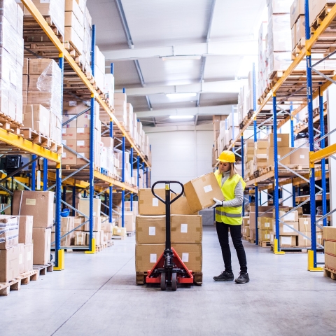 Female warehouse working checking tablet