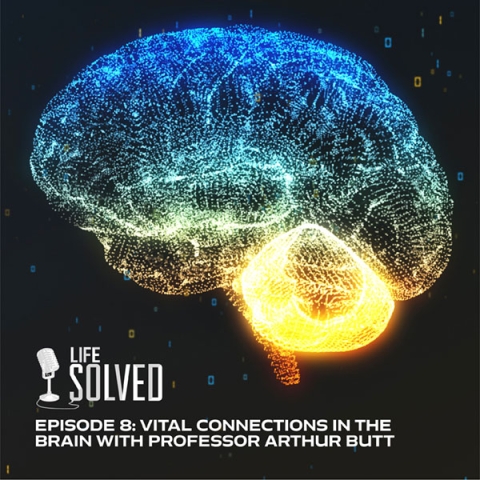 Digital computer brain 3D render. Life Solved title and logo below.