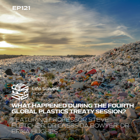 What happened during the fourth session of the Global Plastics Treaty?