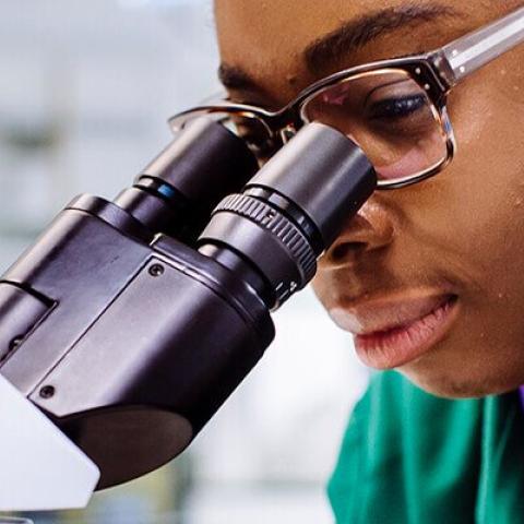 Medical biotechnology student using microscope in lab