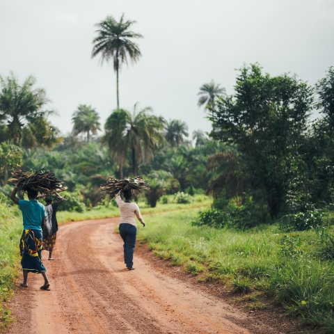 Three people carrying fire wood on their heads - Photo by Annie Spratt on Unsplash