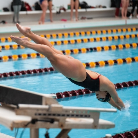 swimmers at the Olympics jumping into a pool