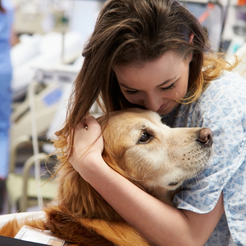 A patient with a therapy dog. BN (Hons) Nursing (Mental Health).