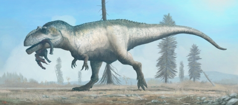 Image of gigantosaurus