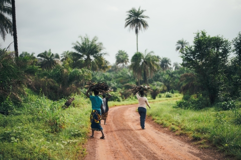 Three people carrying fire wood on their heads - Photo by Annie Spratt on Unsplash