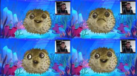 Avatar blowfish