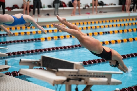 swimmers at the Olympics jumping into a pool