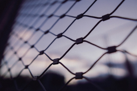 fence