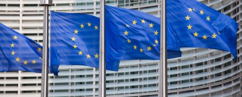 row of european flags