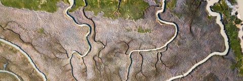 A river delta