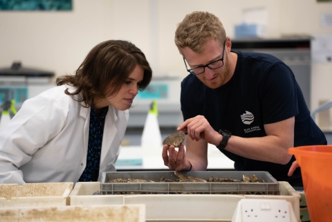 HRH Princess Eugenie inspects a native oyster at the Institute of Marine Science with Blue Marine Foundation’s Dr Luke Helmer