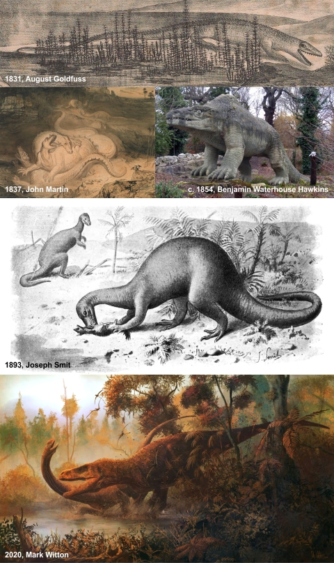 Megalosaurus history image