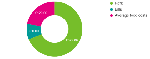 Monthly spending image 4